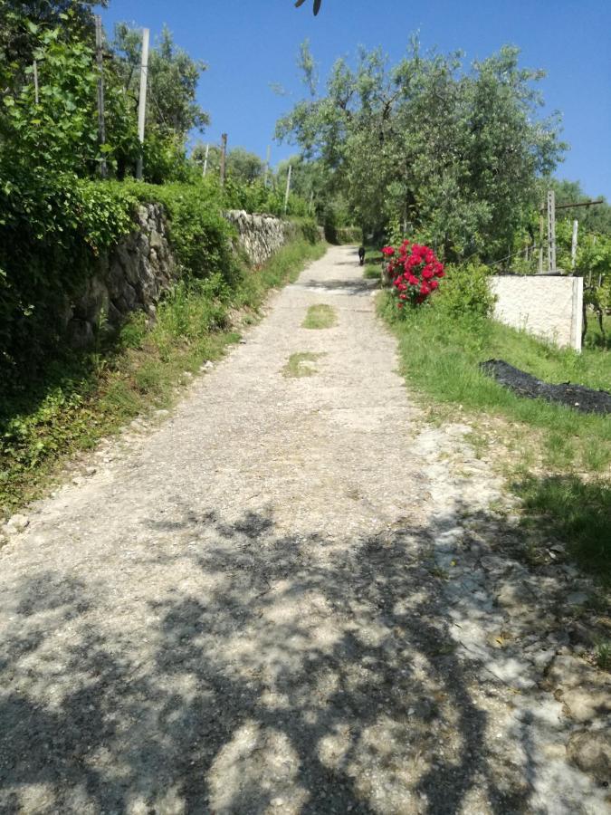 شقة Uno Sguardo Sulla Valpolicella Pedemonte المظهر الخارجي الصورة